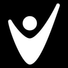 Care Team Solutions Logo