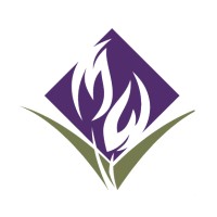 Metrowest Medical Center - Consolidated